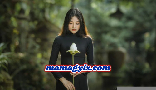 စိတ်ရဲ့ခေါ်ဆောင်ရာ
